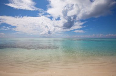 Güzel Maldivler plajı. Doğal güzel bir arka plan..
