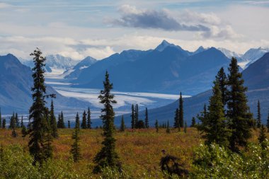 Yazın Alaska 'nın Picturesque Dağları. Kar, kütleleri, buzulları ve kayalık tepeleri kapladı. Güzel doğal arkaplan.