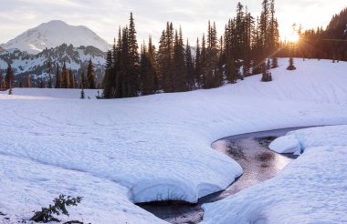 Gün doğumunda Rainier Dağı Ulusal Parkı, ABD, Washington