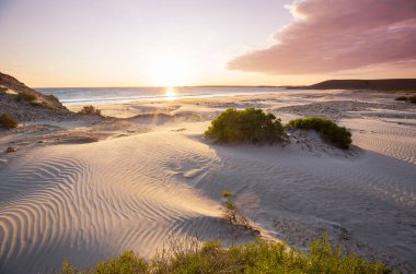 Sandy beach and dunes on the ocean coast. Baja California, Mexico