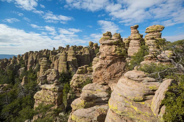 Ungewöhnliche Landschaft Chiricahua National Monument Arizona Usa — Stockfoto