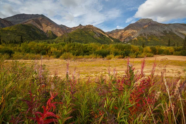 Beautiful High Mountains Alaska United States Amazing Natural Background — Photo