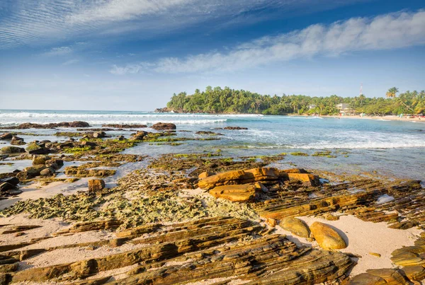 Beautiful Tropical Landscapes Sri Lanka Travel Holiday Background — Stock Photo, Image
