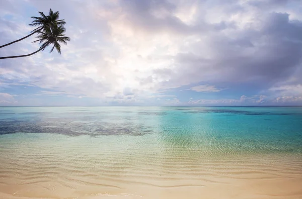Gyönyörű Nyári Tájak Trópusi Tengerparton Nyaralási Háttér — Stock Fotó