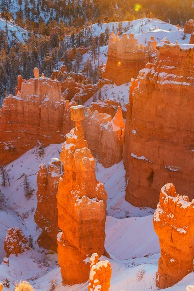 美国犹他州布莱斯峡谷国家公园冬季色彩艳丽的粉色岩石 — 图库照片