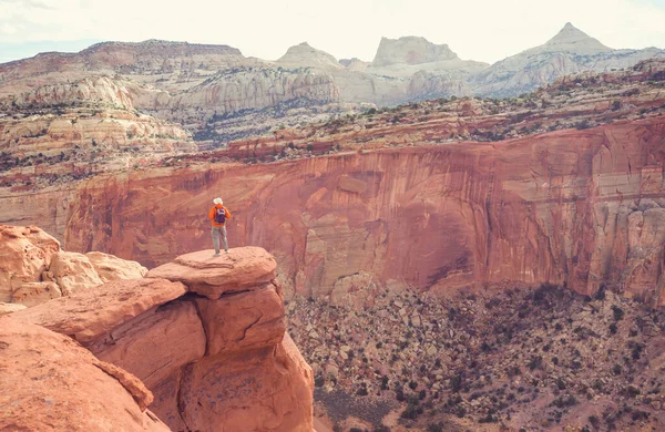 Utah dağlarında yürüyüş. Alışılmadık doğal manzaralarda yürüyüş. Fantastik kumtaşı oluşumları.