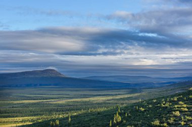 Kutup dairesinin üstündeki Tundra manzaraları