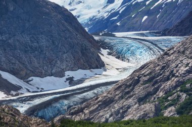 Kanada, Stewart 'ta somon buzulu