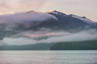 Vancouver Adası, British Columbia, Kanada