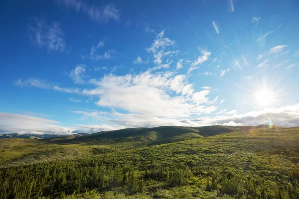 Tundra Landscapes Arctic Circle — Stock Photo, Image