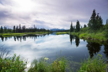 Kanada'da dağ gölü sakin sahne