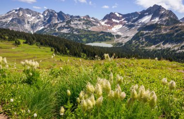 North Cascade Range, Washington, ABD 'deki güzel dağ zirvesi.