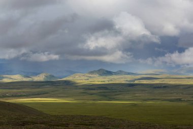 Kutup dairesinin üstündeki Tundra manzaraları