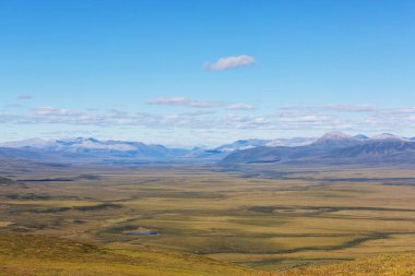 Kutup dairesinin üstündeki Tundra manzaraları