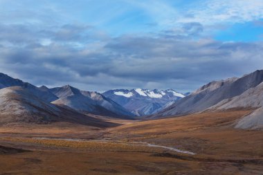 Kutup dairesinin üstündeki Tundra manzaraları