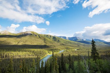 Beautiful mountains river in summer season, Canada