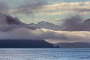 Vancouver Adası, British Columbia, Kanada
