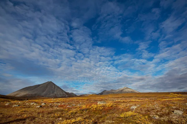 Krajiny Tundry Nad Polárním Kruhem — Stock fotografie