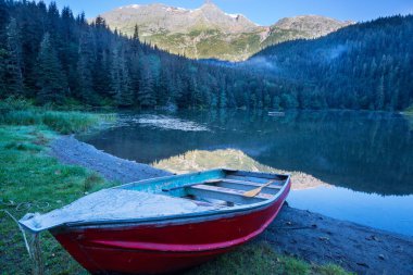 Güzel bir gölde kayık.