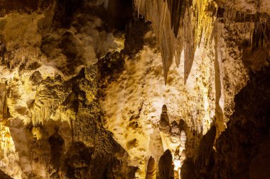 ABD, New Mexico 'daki Carlsbad Mağaraları Ulusal Parkı