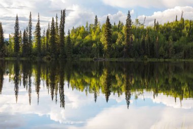 Kanada'da dağ gölü sakin sahne