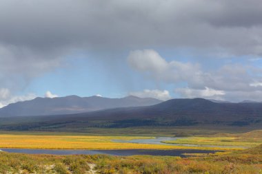 Kutup dairesinin üstündeki Tundra manzaraları