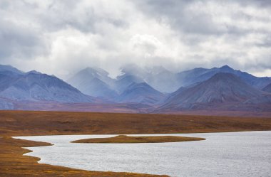 Kutup dairesinin üstündeki Tundra manzaraları