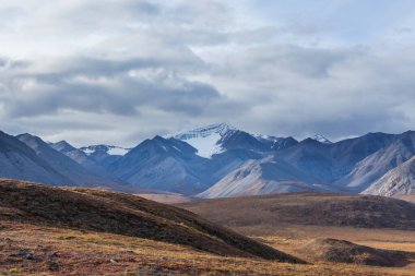 Kutup dairesinin üstündeki Tundra manzaraları