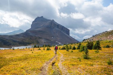 Kanada dağlarında yürüyüş yapan adam. Yürüyüş, Kuzey Amerika 'da popüler bir eğlence aktivitesidir. Bir sürü pitoresk yol var..