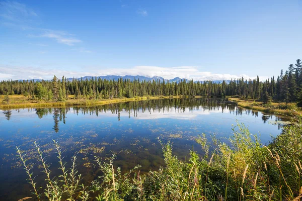 Lago Serenità Nella Tundra Alaska — Foto Stock