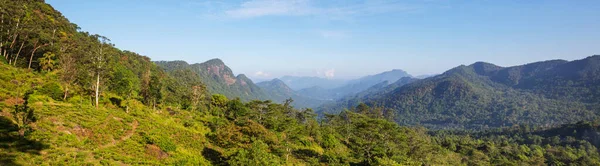 Bellissimi Paesaggi Naturali Verdi Nelle Montagne Dello Sri Lanka — Foto Stock