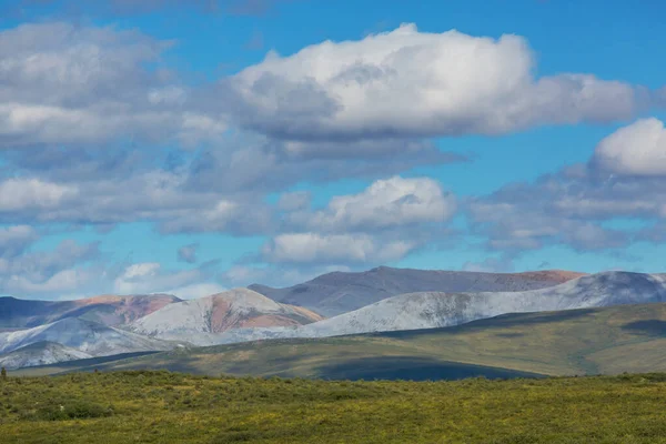 Ландшафты Тундры Над Арктическим Кругом — стоковое фото