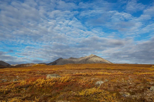 Τούντρα Τοπία Πάνω Από Τον Αρκτικό Κύκλο — Φωτογραφία Αρχείου