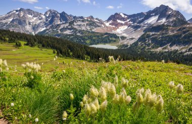 North Cascade Range, Washington, ABD 'deki güzel dağ zirvesi.