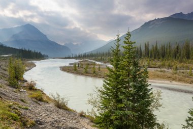 Yaz mevsiminde Kanada Kayalıkları 'nda resim gibi dağ manzarası