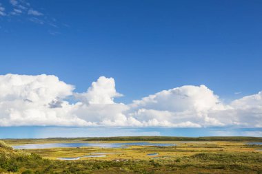 Kutup dairesinin üstündeki Tundra manzaraları