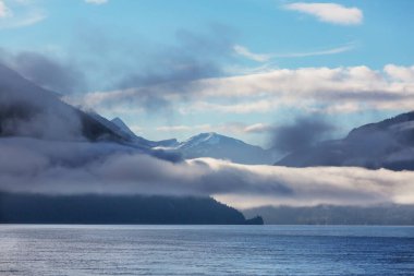 Vancouver Adası, British Columbia, Kanada