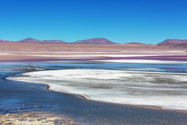 Bolivya altiplanosundaki alışılmadık dağlar Güney Amerika 'yı geziyor.