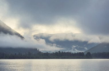 Vancouver Adası, British Columbia, Kanada