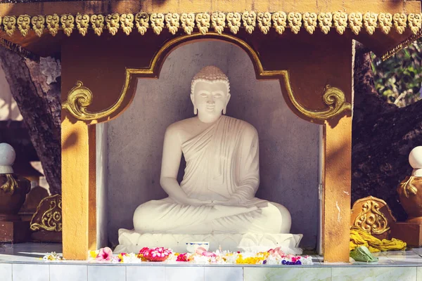 Buddhas Statue Buddhist Temple Myanmar Asia — Stock Photo, Image