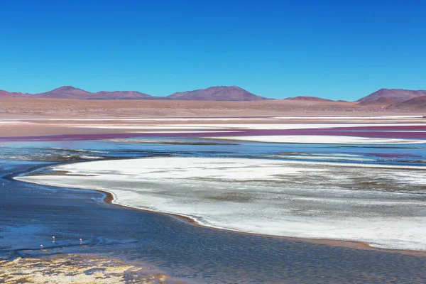 Bolivya altiplanosundaki alışılmadık dağlar Güney Amerika 'yı geziyor.