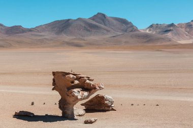 Arbol de piedra (Rock tree), south Altiplano, Bolivia