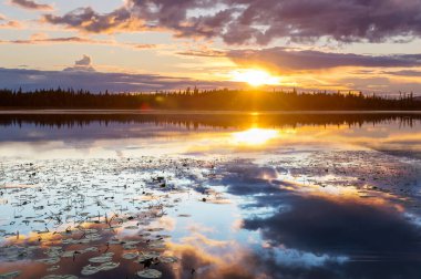 Sunset scene on the lake at sunset summer nature landscapes