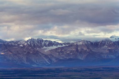 Yazın Alaska 'nın Picturesque Dağları. Kar, kütleleri, buzulları ve kayalık tepeleri kapladı. Güzel doğal arkaplan.