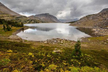 Yaz mevsiminde Kanada Kayalıkları 'nda resim gibi dağ manzarası