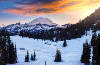 Dağlarda ilkbahar başları. Rainier Dağı Ulusal Parkı, ABD, Washington.