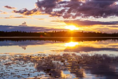 Sunset scene on the lake at sunset summer nature landscapes