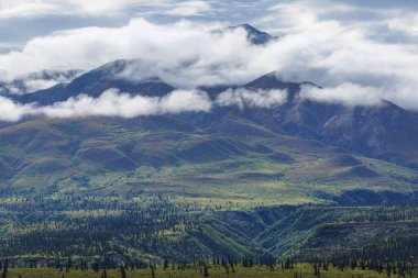 Yazın Alaska 'nın Picturesque Dağları. Kar, kütleleri, buzulları ve kayalık tepeleri kapladı. Güzel doğal arkaplan.