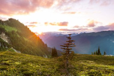 Beautiful mountain peak in  North Cascade Range, Washington,  USA clipart