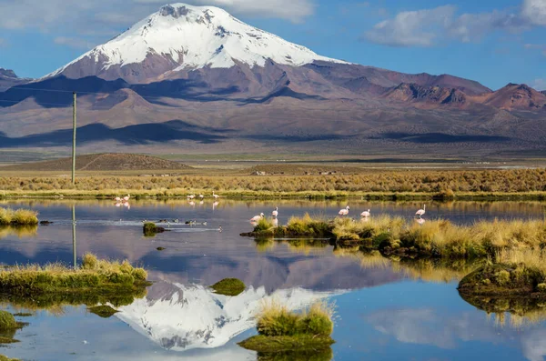 Ovanliga Berg Landskap Bolivia Altiplano Resor Äventyr Sydamerika — Stockfoto